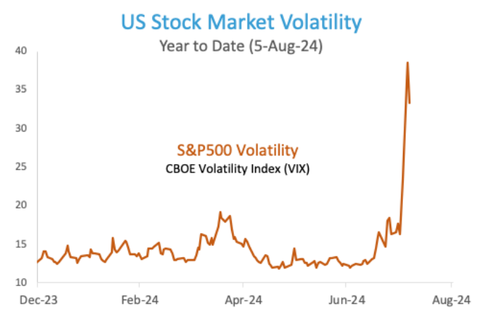 US Stock Market Volatility Graphic (Year to Date 5th August 2024).
