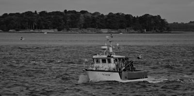 Eight Bells and all is Well: A Quick Financial Market Review for the June Quarter 2026