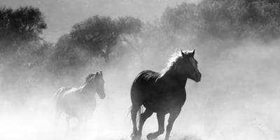 Is AI a Trojan Horse?