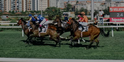 Don’t Bet on a Rate Cut